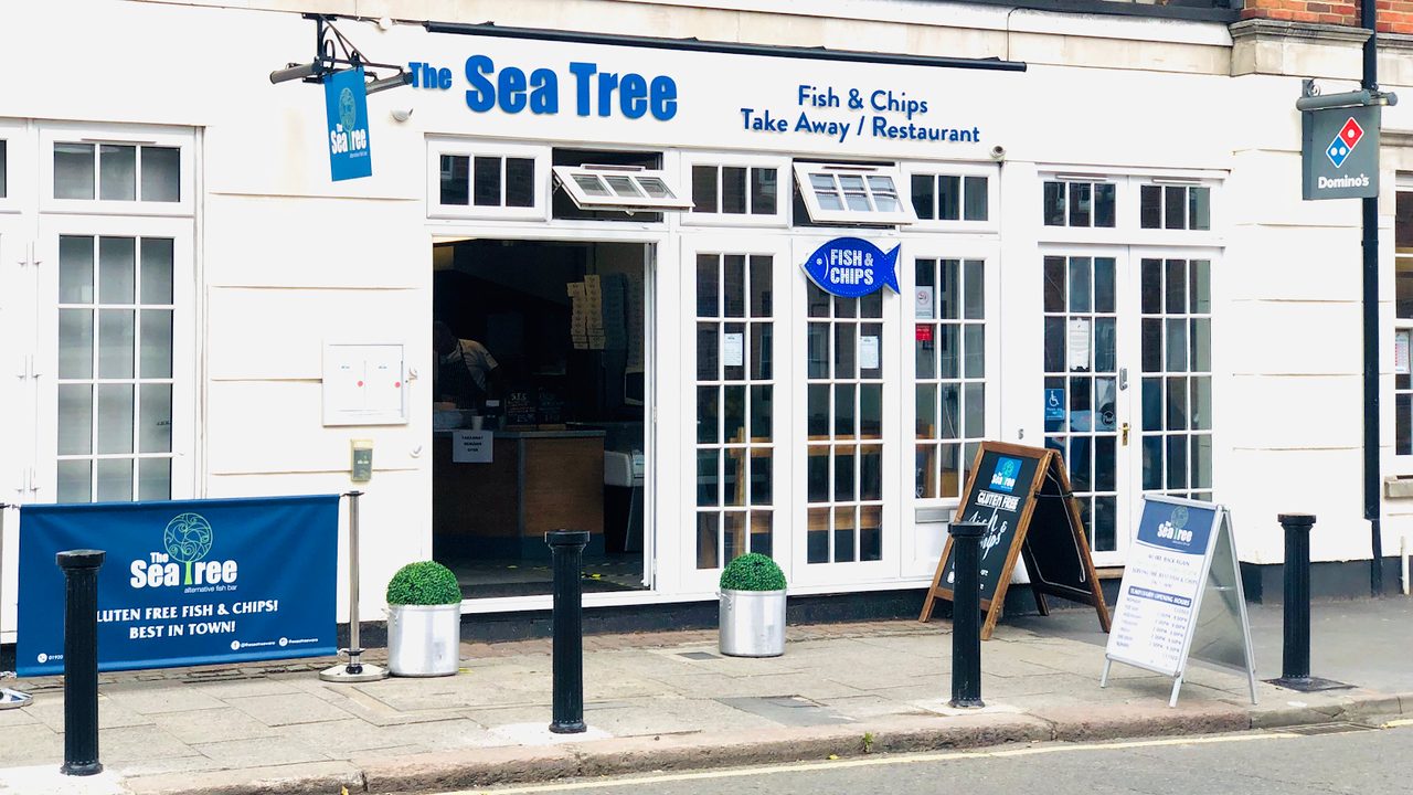 The Sea Tree Ware