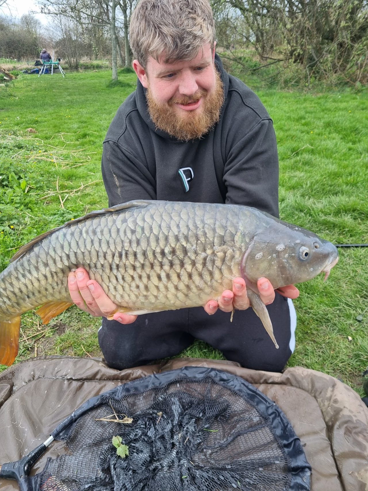 The Sedges