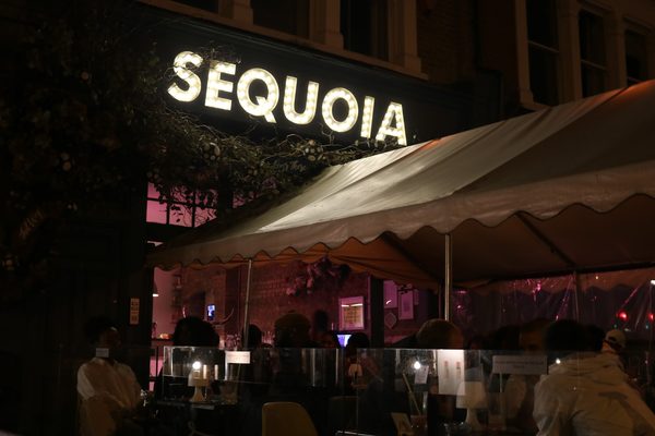 The Sequoia