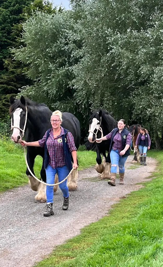 The Shire Horse Centre