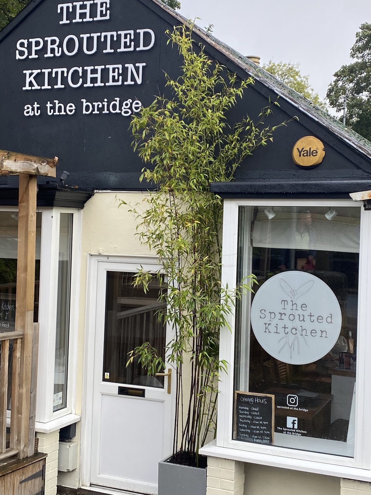 The Sprouted Kitchen
