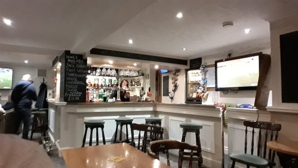The Swan