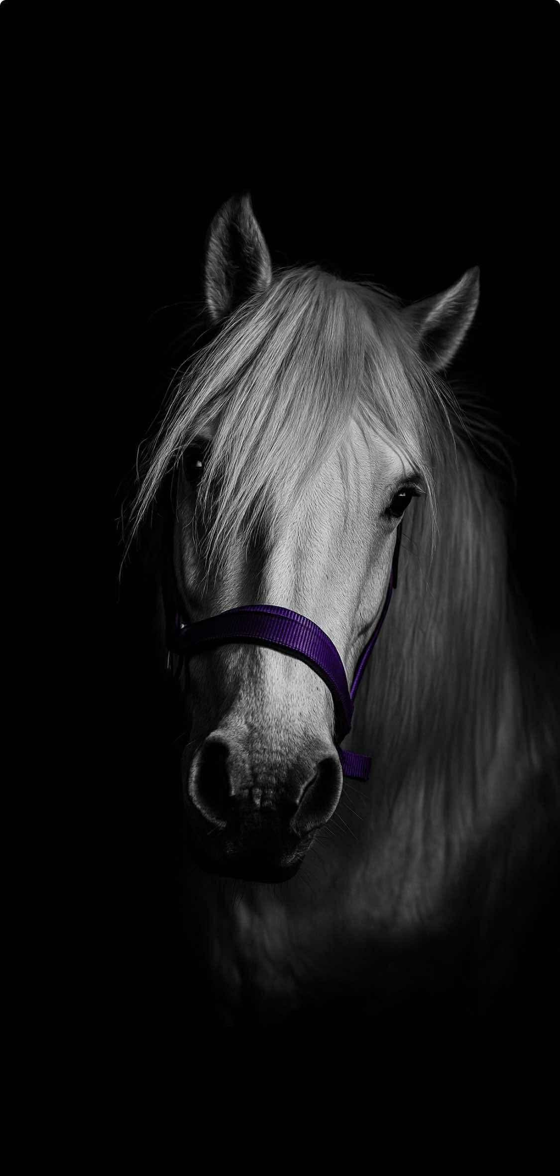 The Talking Horse