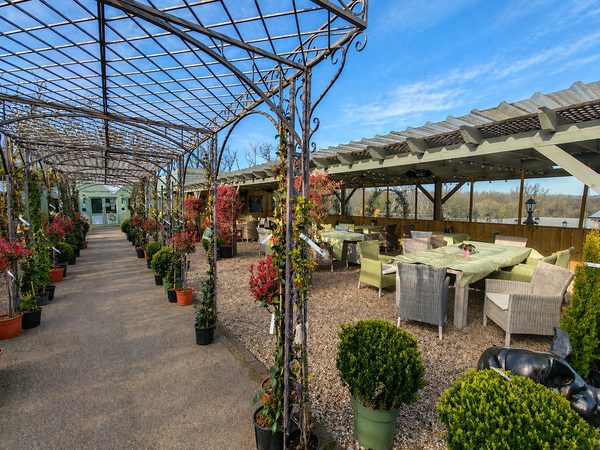 The Terrace Cafe