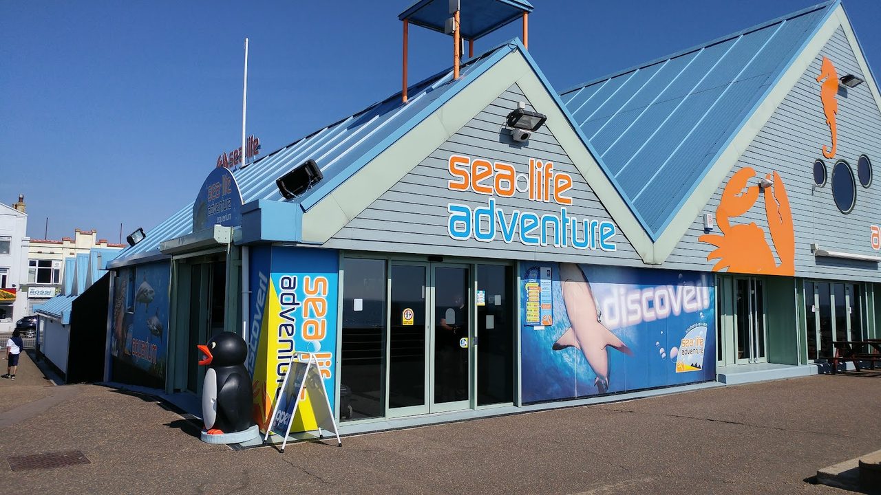 The Three Shells At Sealife Adventure