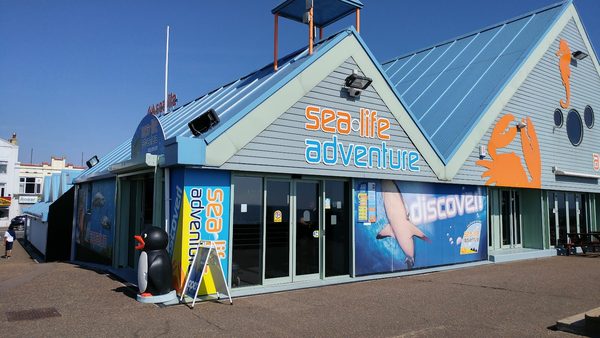 The Three Shells At Sealife Adventure