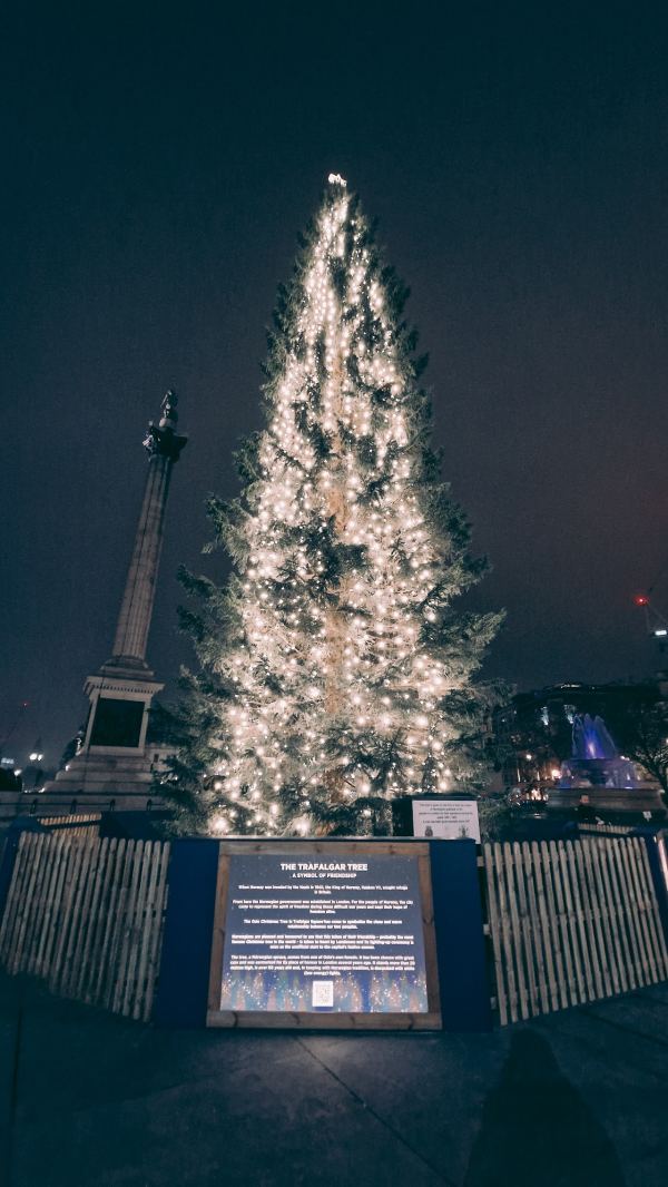 The Trafalgar Chelsea
