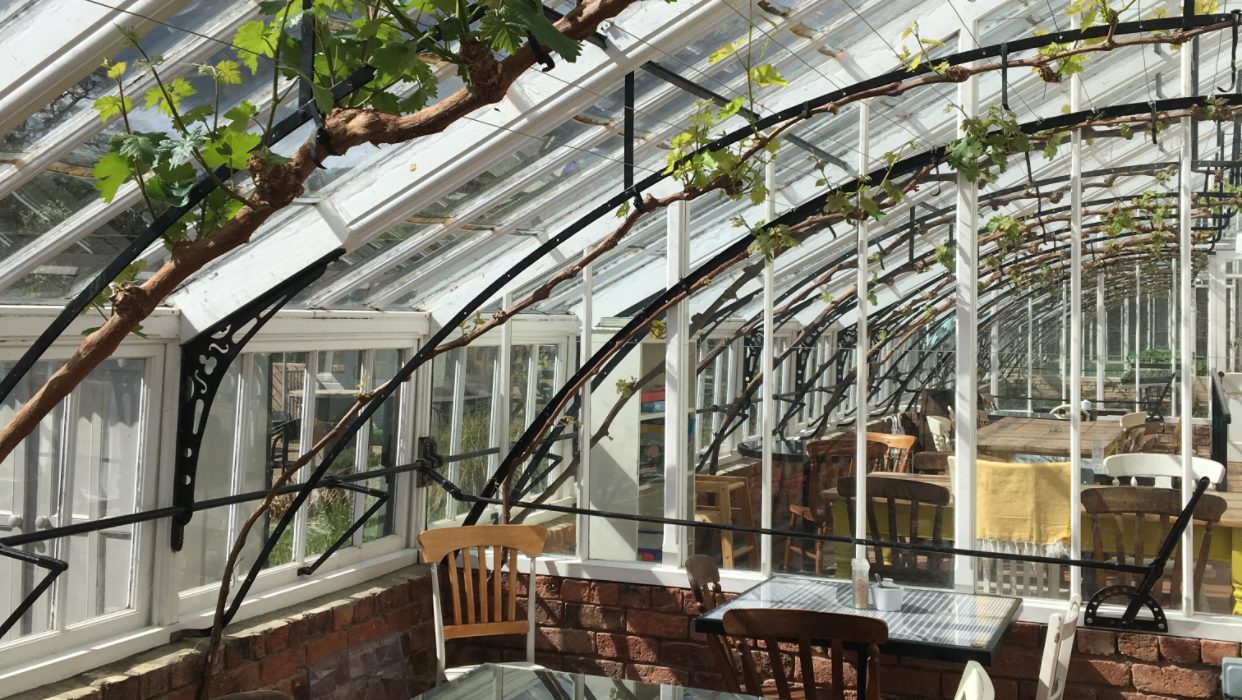 The Vine House Cafe