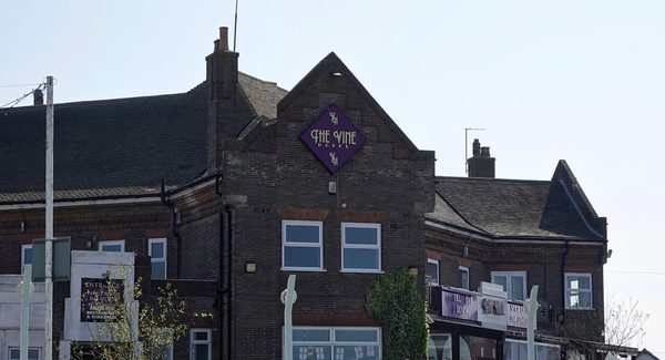 The Vine Kitchen