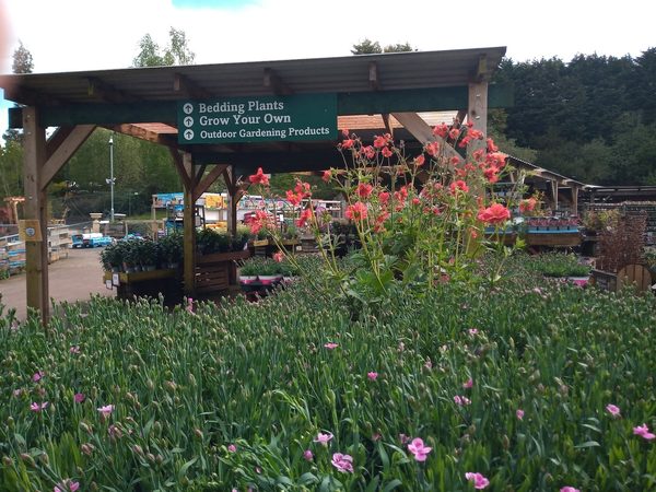 The Watering Can At Barnet Hill By Cherry Lane