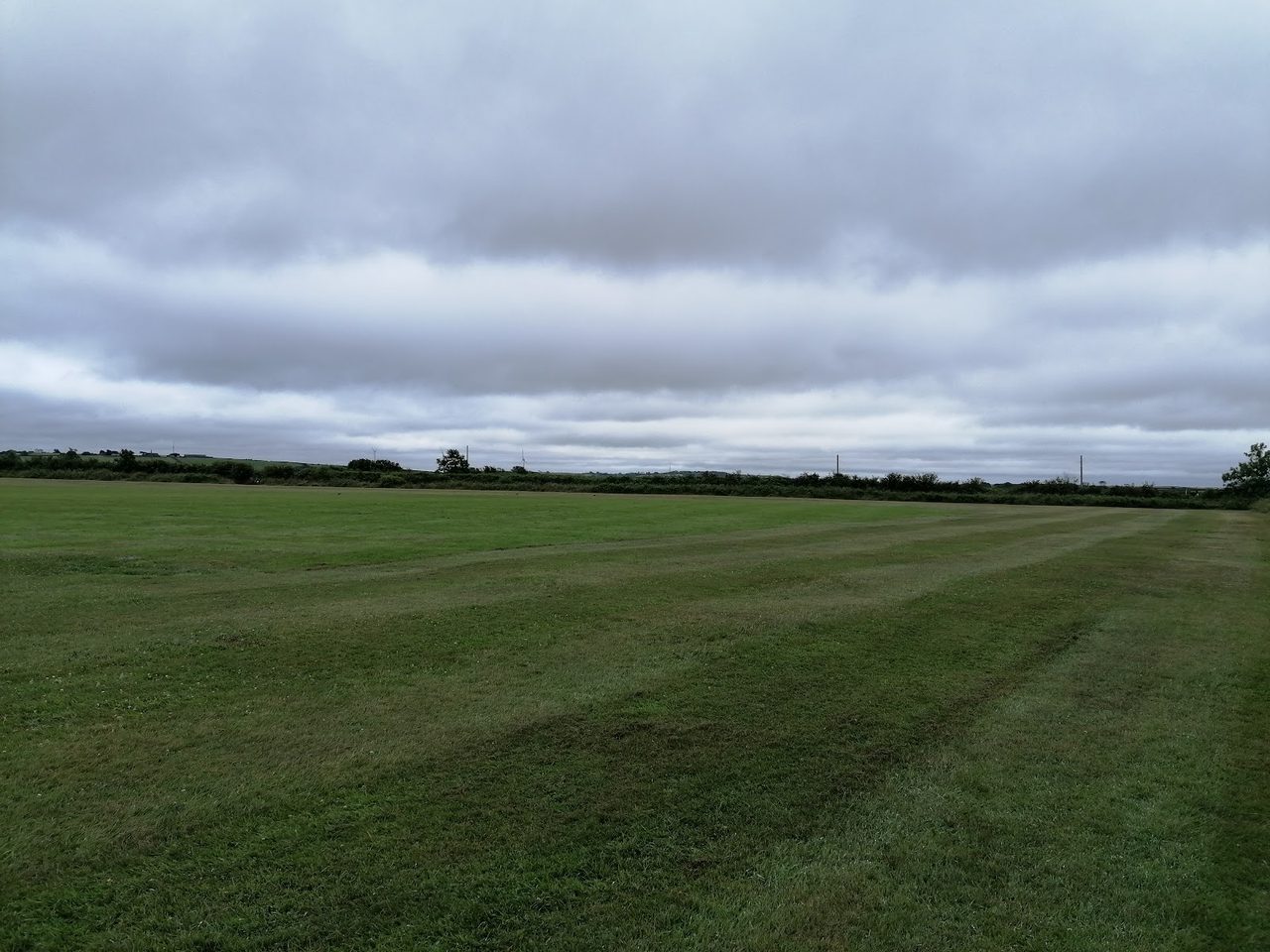 The wickets