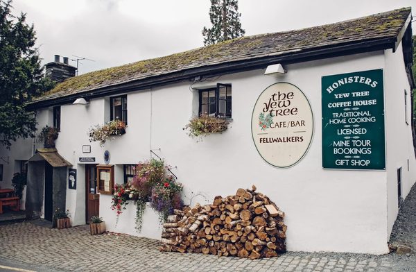 The Yew Tree