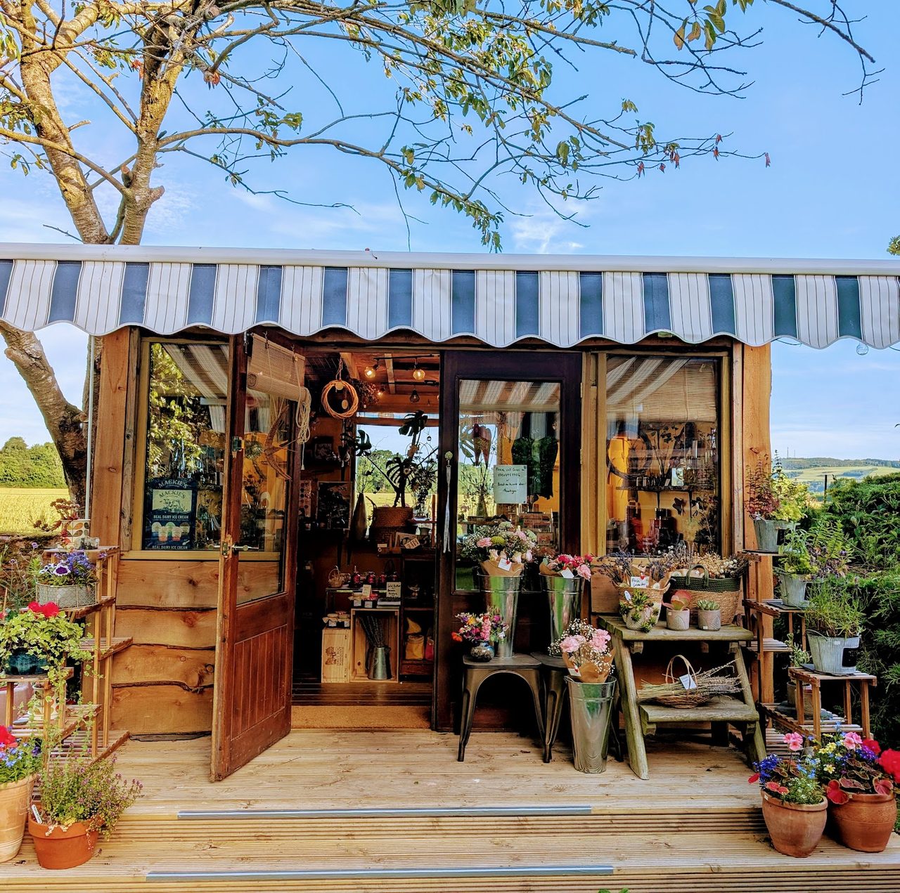 The Yurt Cafe