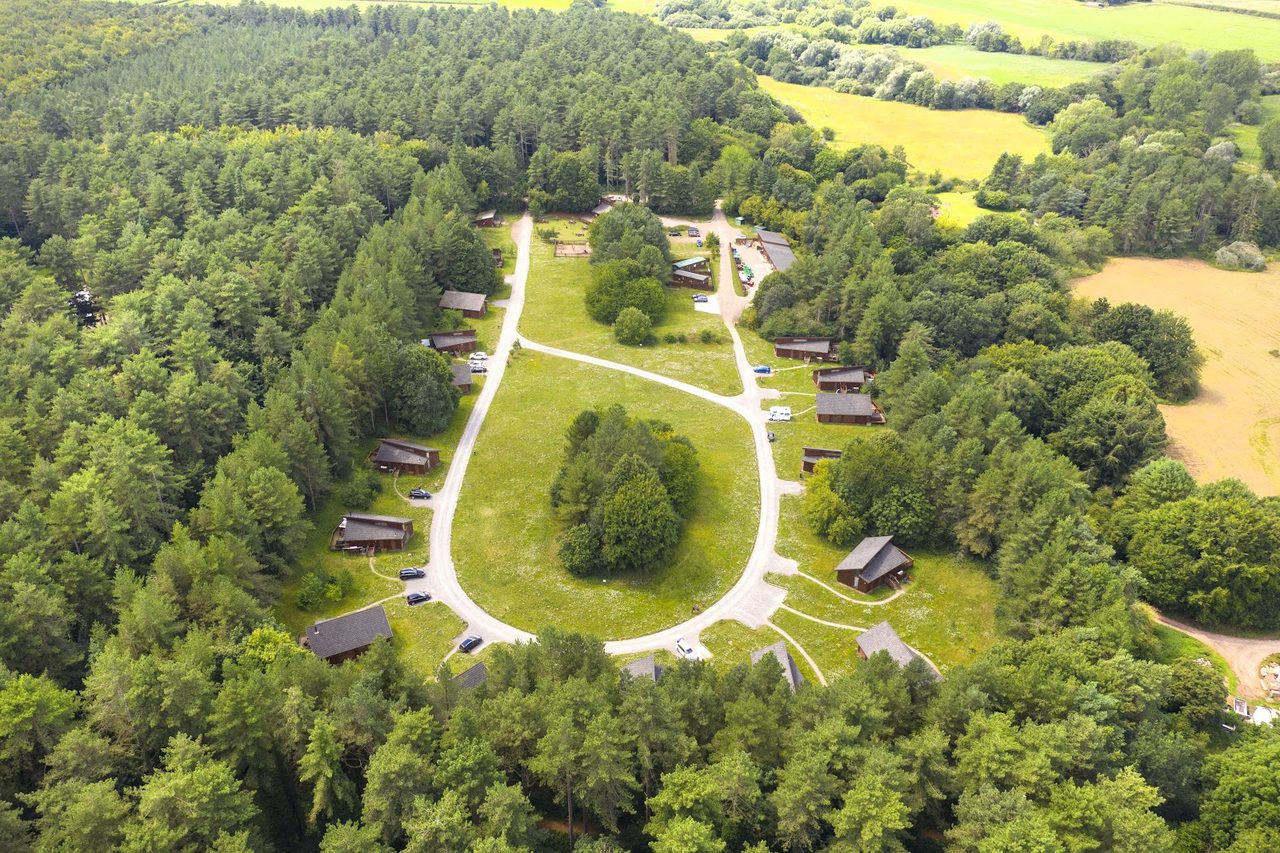 Thorpe Forest