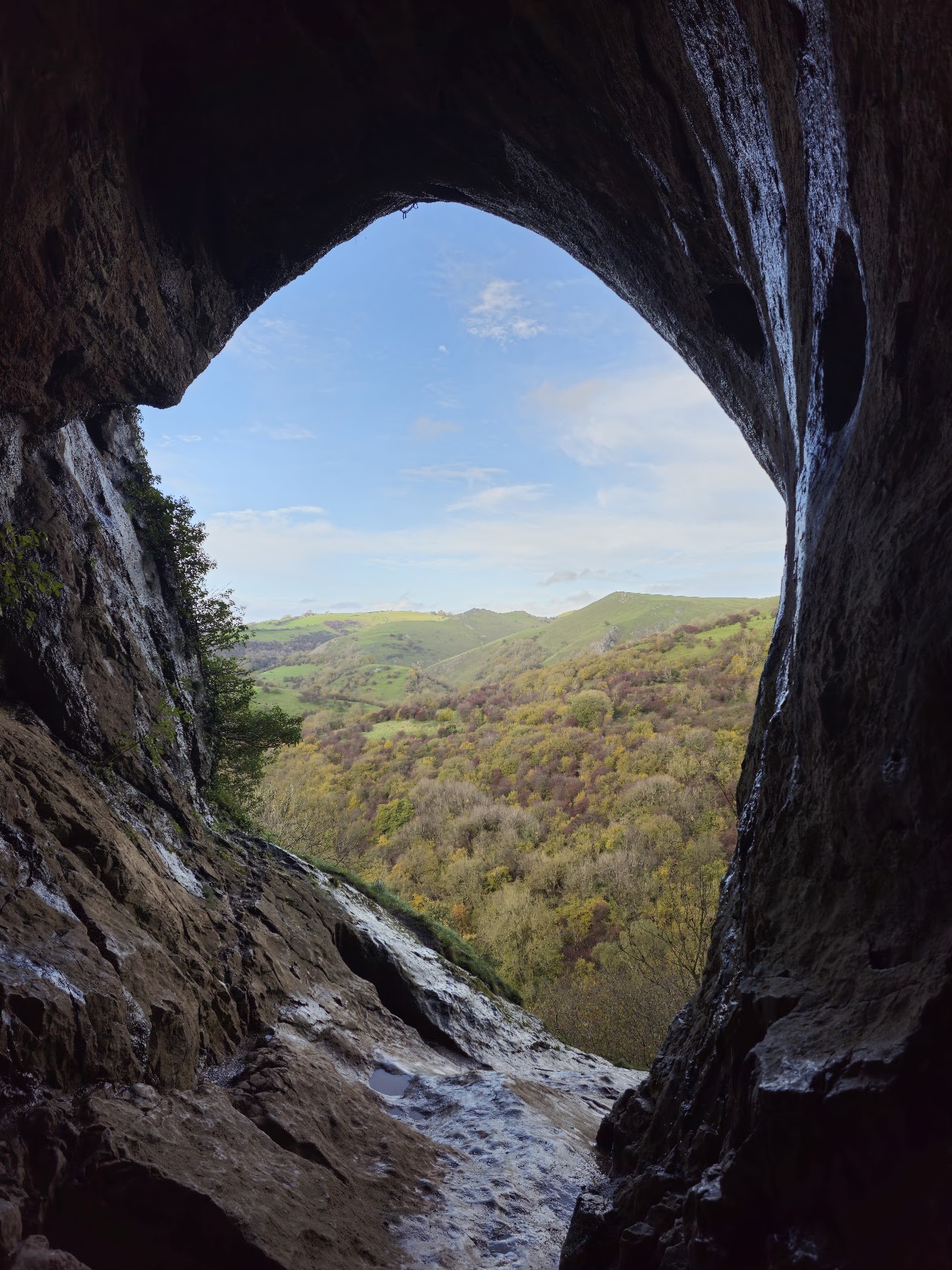 THORS CAVE TEAROOM