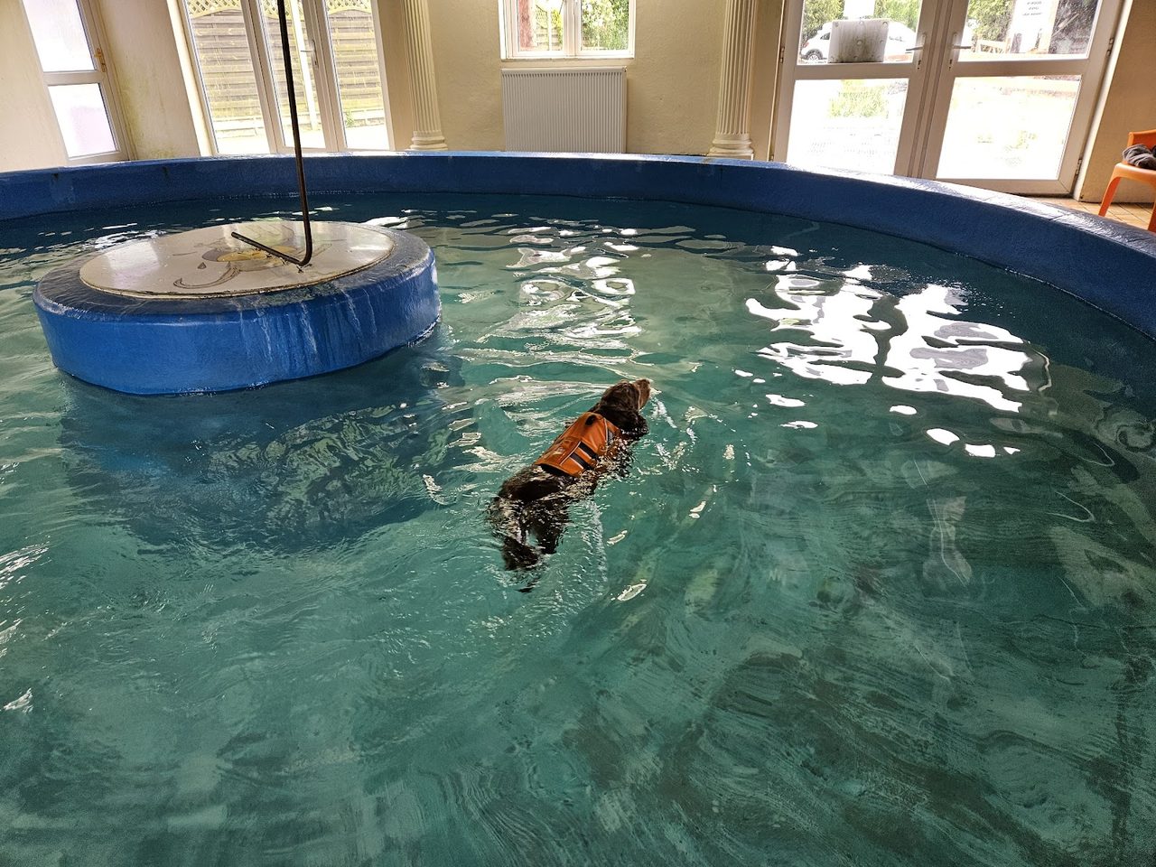 Tomlinsons Boarding Kennels And Canine Hotel
