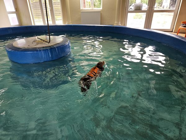 Tomlinsons Boarding Kennels And Canine Hotel