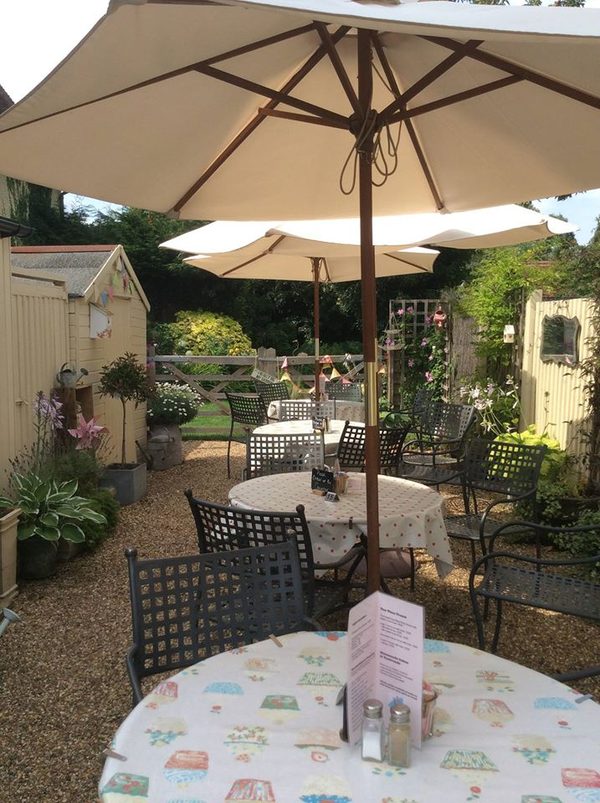 Tortoise Tea Room