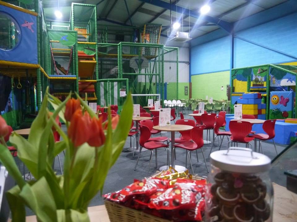Tree Top Play & Party Cafe