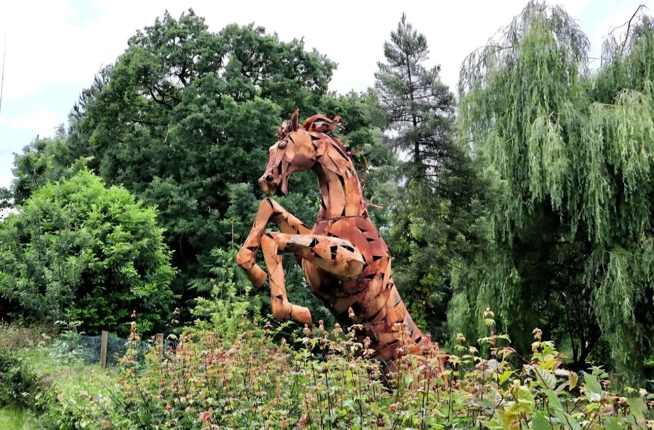 Treetops Garden Centre