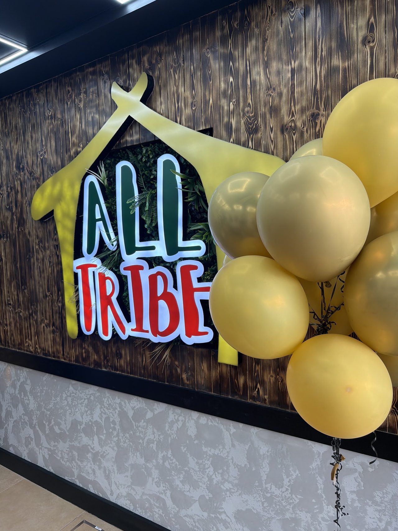 Tribe Cafe