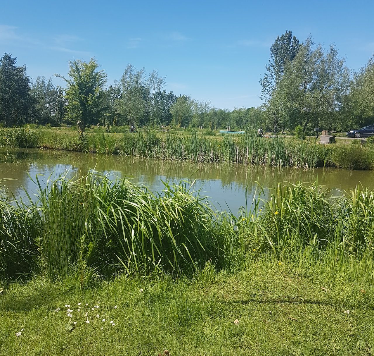 Tunnel Barn Farm Fishery-The Piggery Cafe