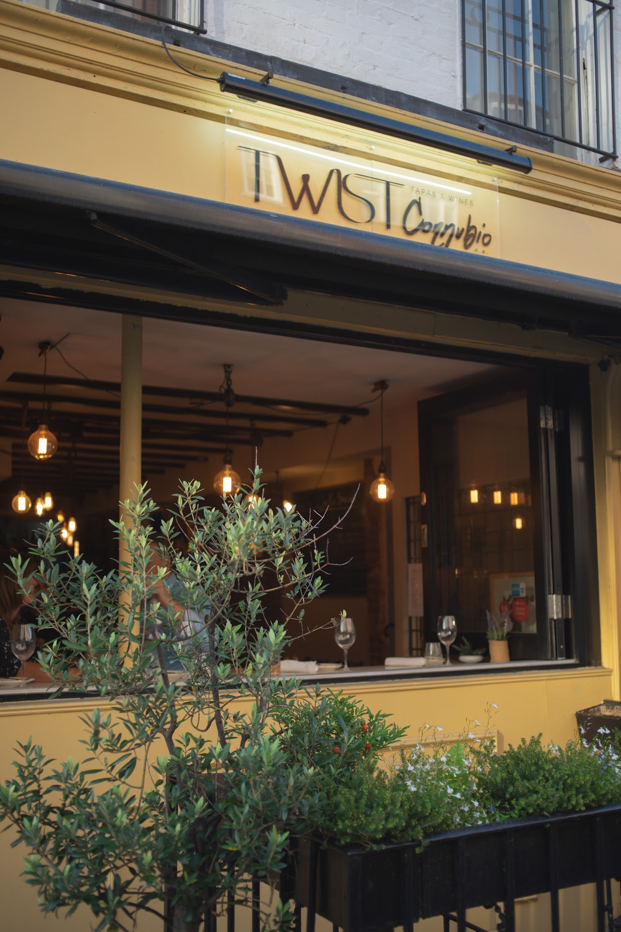 Twist Connubio