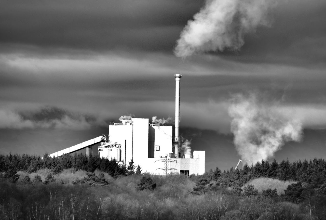 Upm-Caledonian Paper Mill