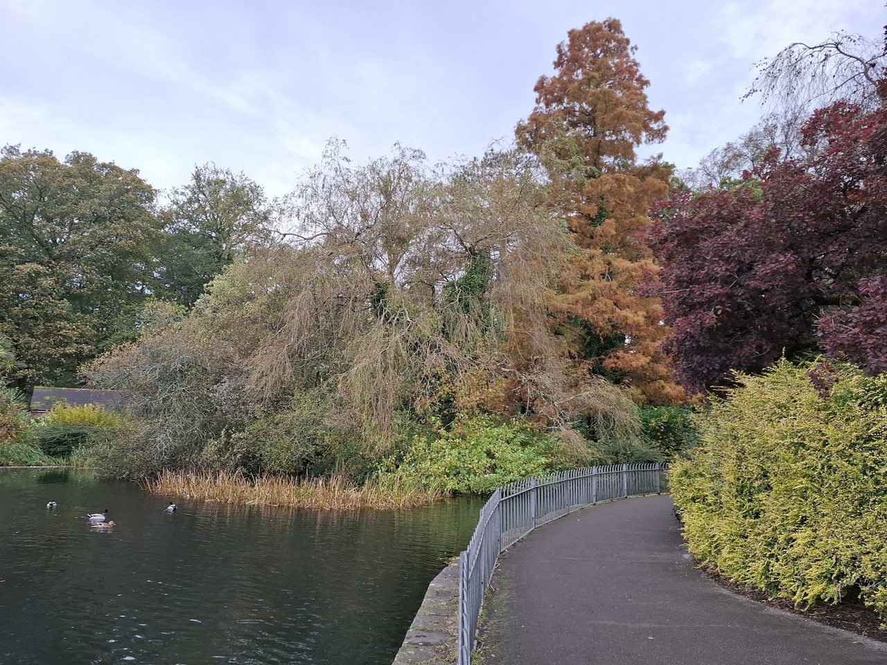 Victoria Park Kiosk