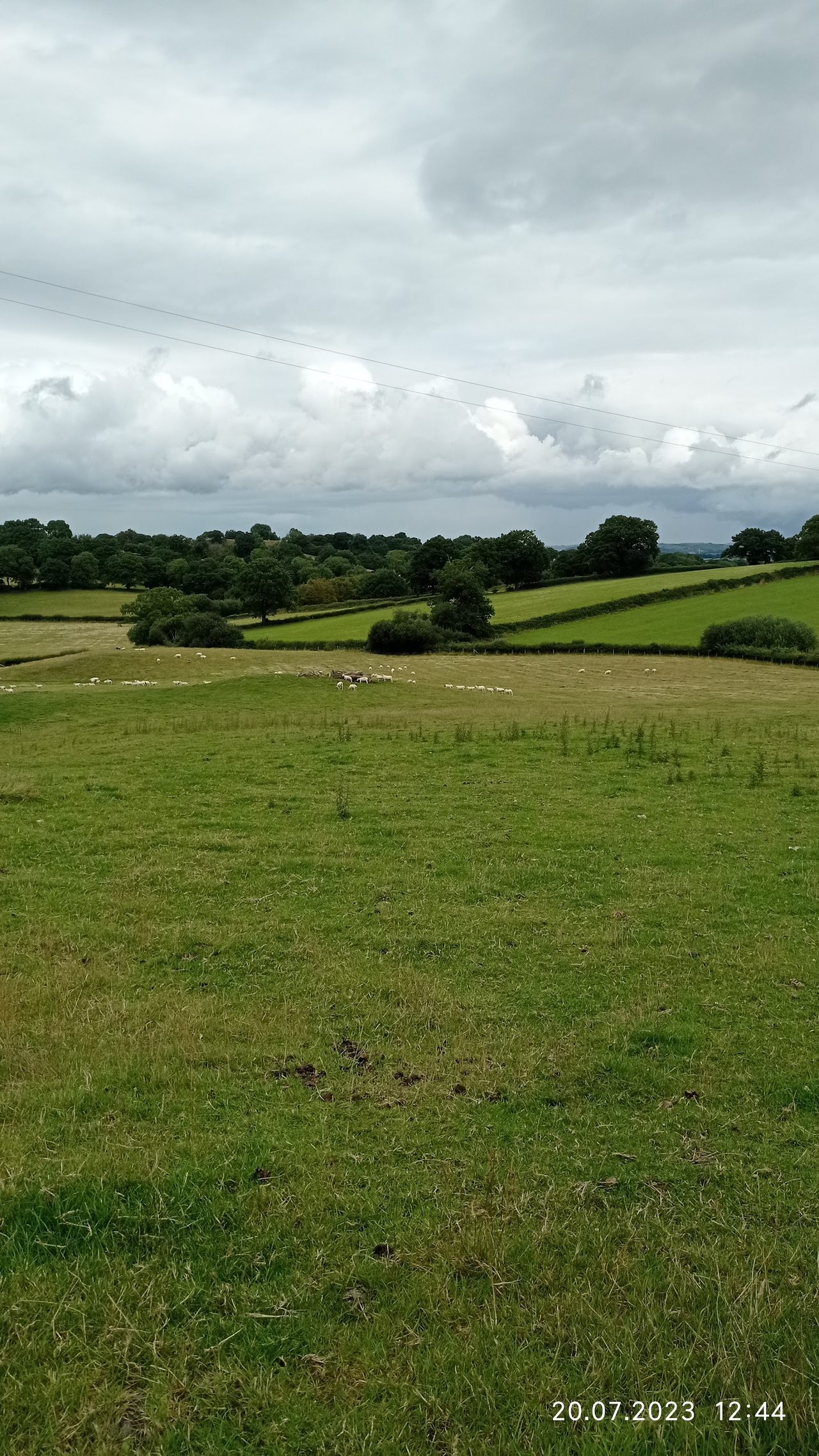 Wales Federation of YFC
