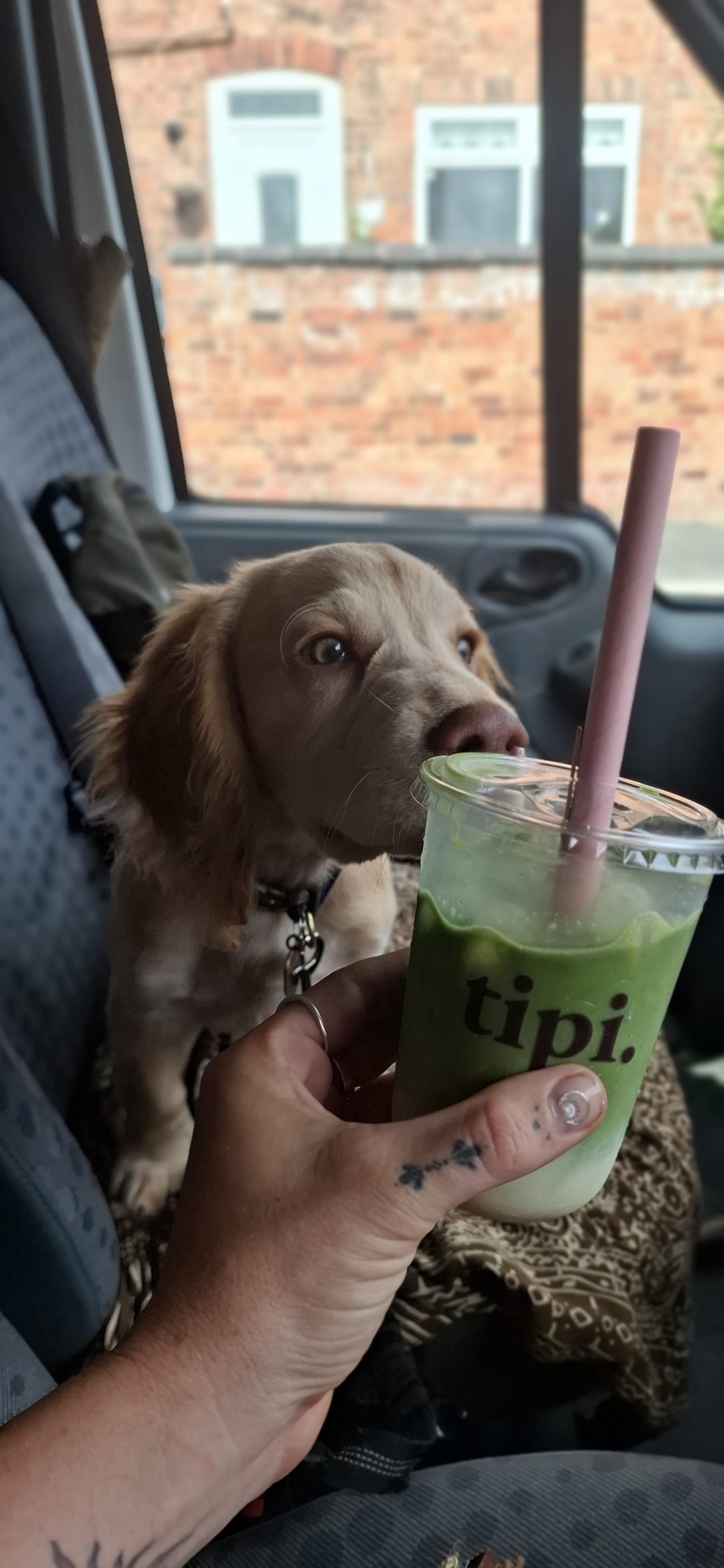 Wellnessbytilly