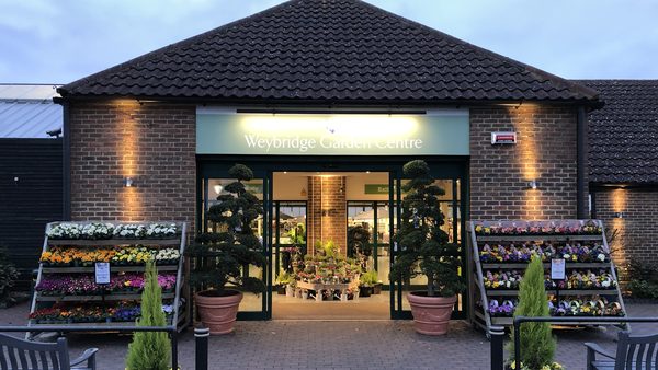 Weybridge Garden Centre Group Ltd