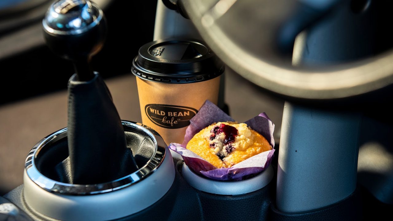 Wild Coffee