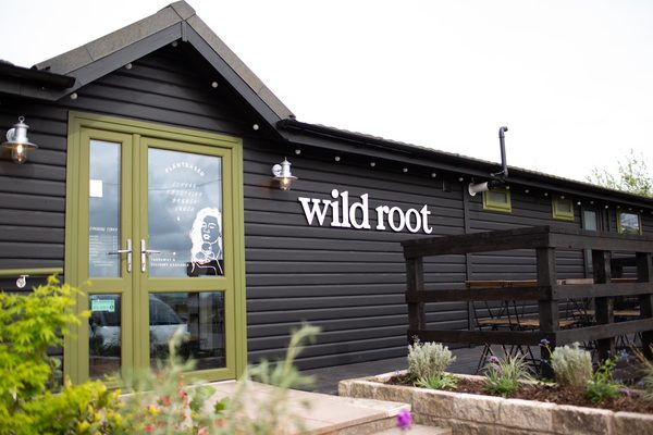 Wild Root