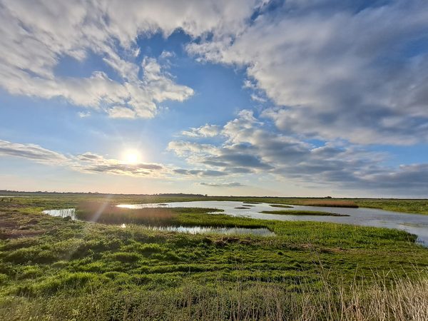 Wildfowl & Wetlands Trust