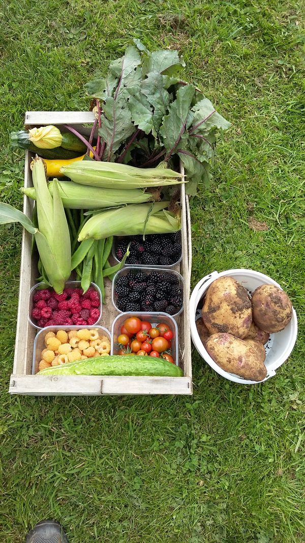 Willoughby Road Allotments Association