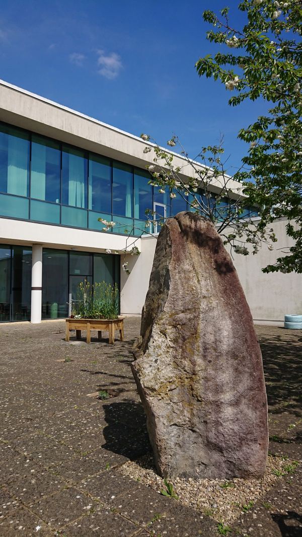 Wiltshire And Swindon History Centre