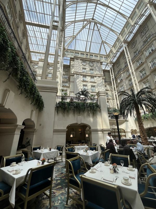 Winter Garden at the Landmark