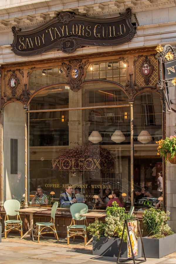 Wolfox Savoy