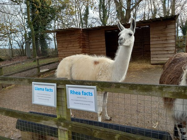 Woodside Animal Farm