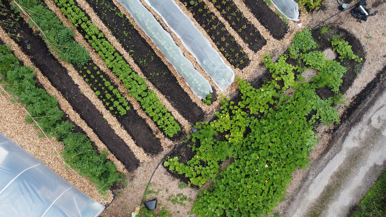 Worthy Earth Ltd