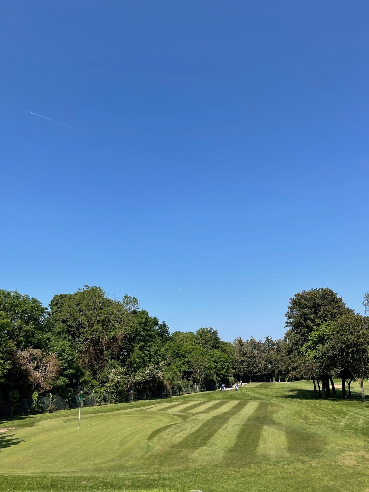 Wyke Green