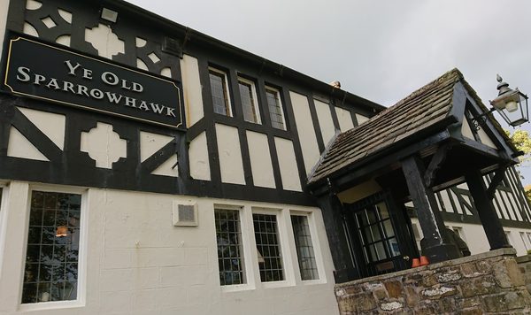 Ye Old Sparrowhawk