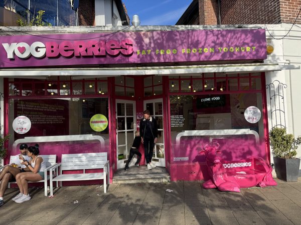 Yogberries